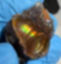 Fire Agate High Grade & Imperial Personal Collection Rough & Windows Natural 01