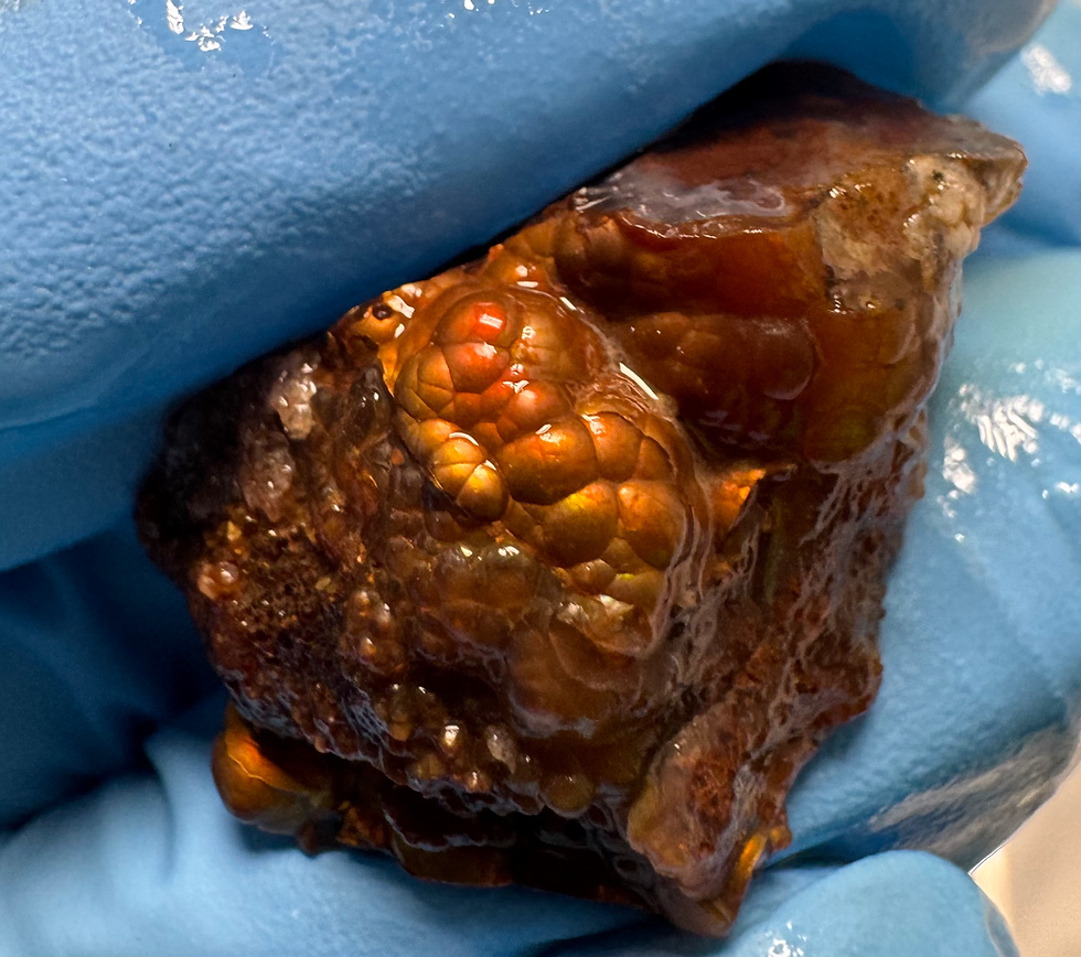 Thumbnail: Stocking Stuffer Collection Fire Agate Natural Rough #05