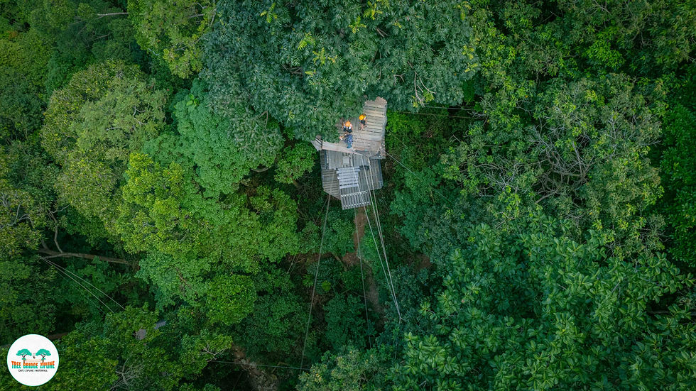 DJI_0174.jpg
