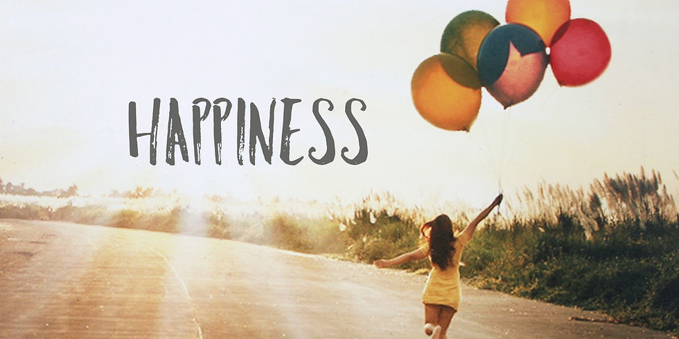 What is Happiness? By: Tali Novick