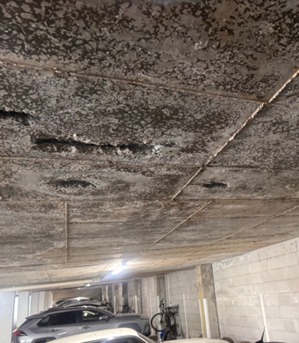 Concrete cancer MRO Perth
