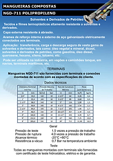 catalogo pagina 1 NGD-711.png