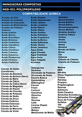 catalogo pag 2 NGD-951 .png