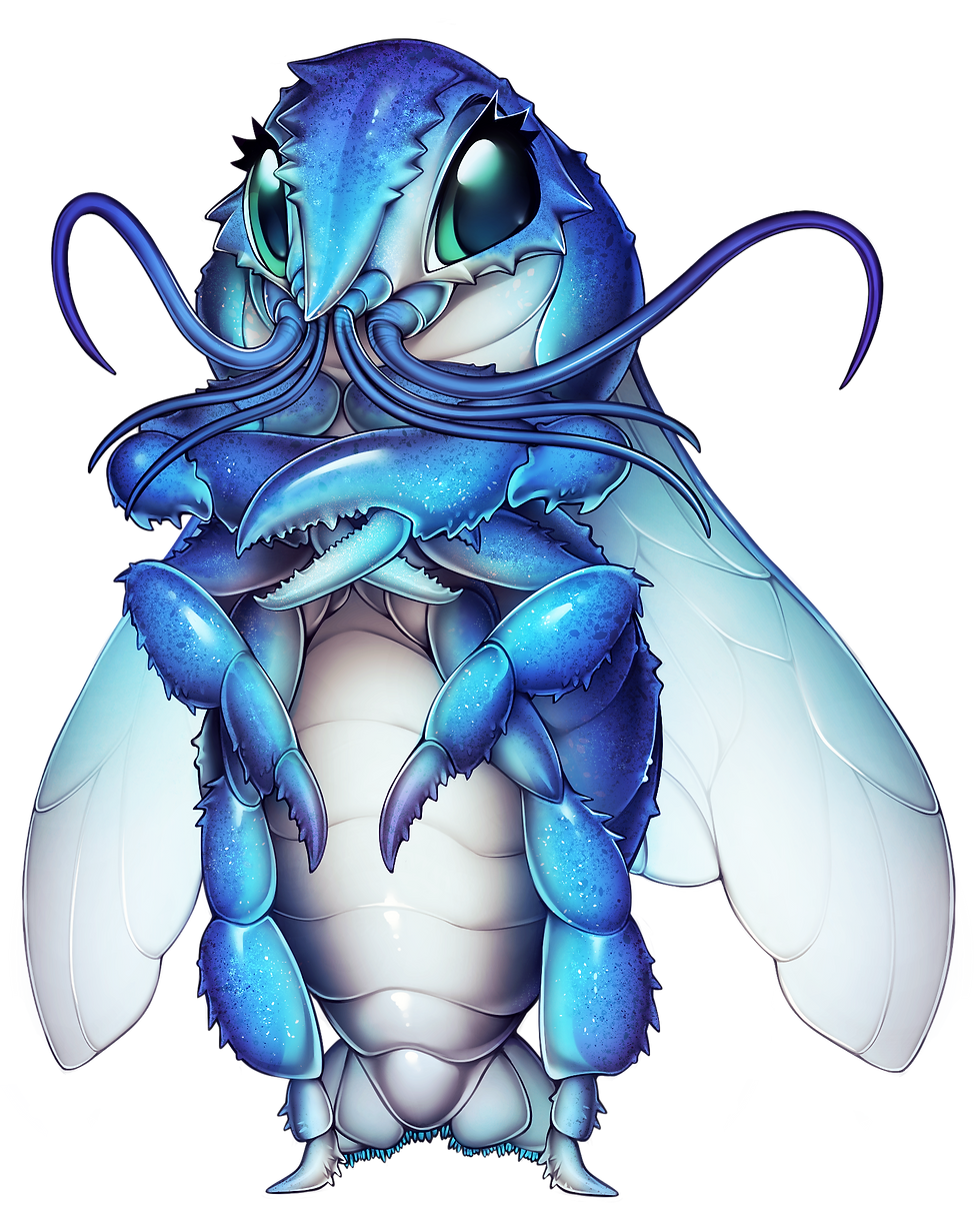 Bee custacean