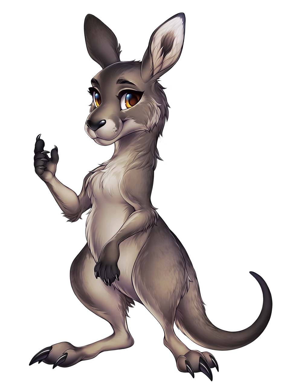 grey kangaroo2