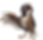 Bird sparrow male