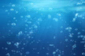 AdobeStock_90367222.jpeg