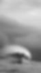 Under The Lipp.jpg