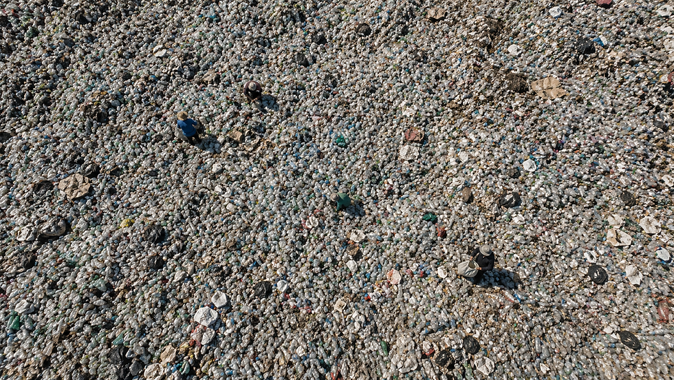 Plastic Waste On Land