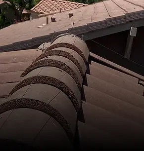 Tensioned Bird Wire Installation in Arizona (2).webp
