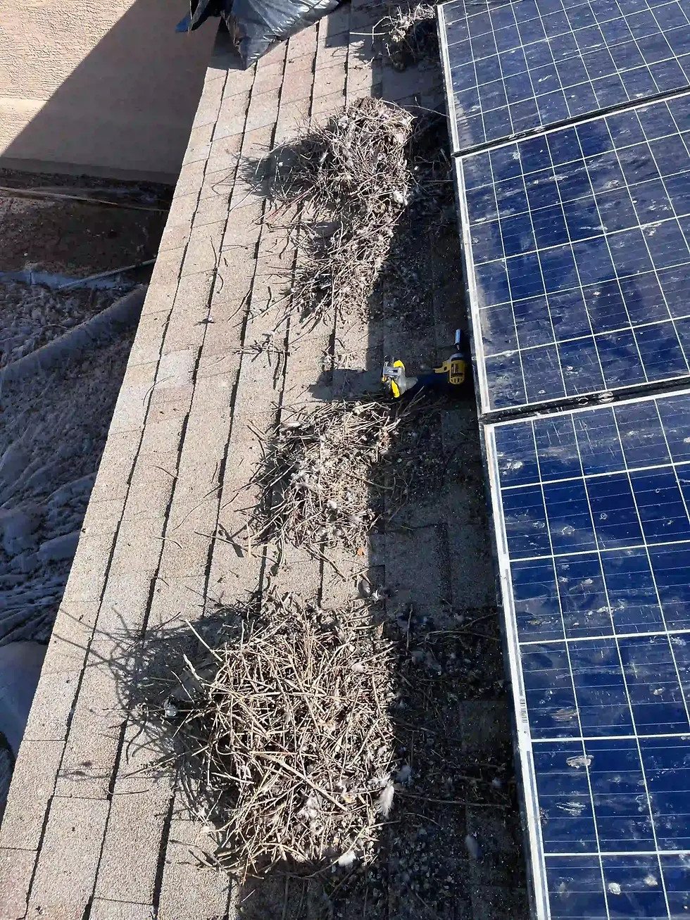 High angle view of solar panels with bird netting installed