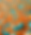 24 - cópia 2.png