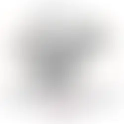 Gaspard Brochet Ecureuil Blanc de Noirs Premier Cru