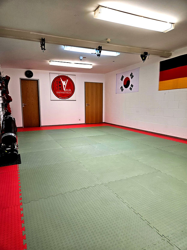 Dojo3_edited.jpg