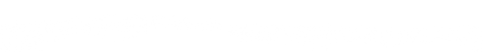 Layer-312.png