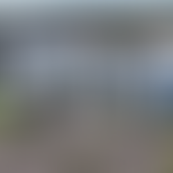 Veterans Day Spotlight: Ekos Allegro Opens Doors to Stable Housing for Veterans and Seniors