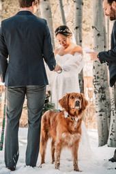 alana-andrew-wedding-183.jpg