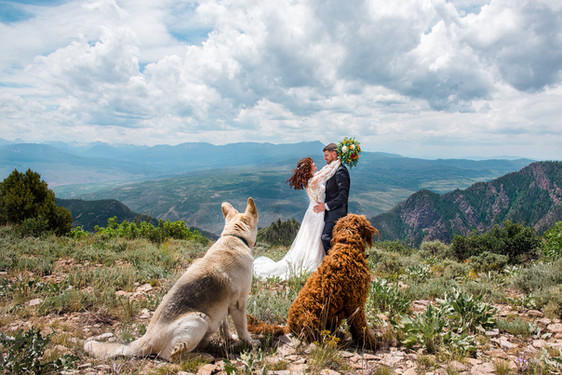 Fox Wedding-268.jpg
