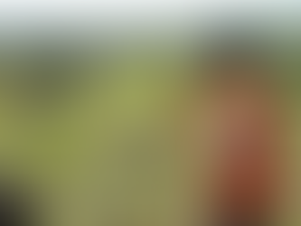 O que é um levantamento topográfico e para que serve?