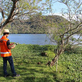 Licença de instalação ambiental