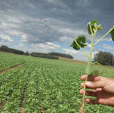 Cadastro ambiental rural preço