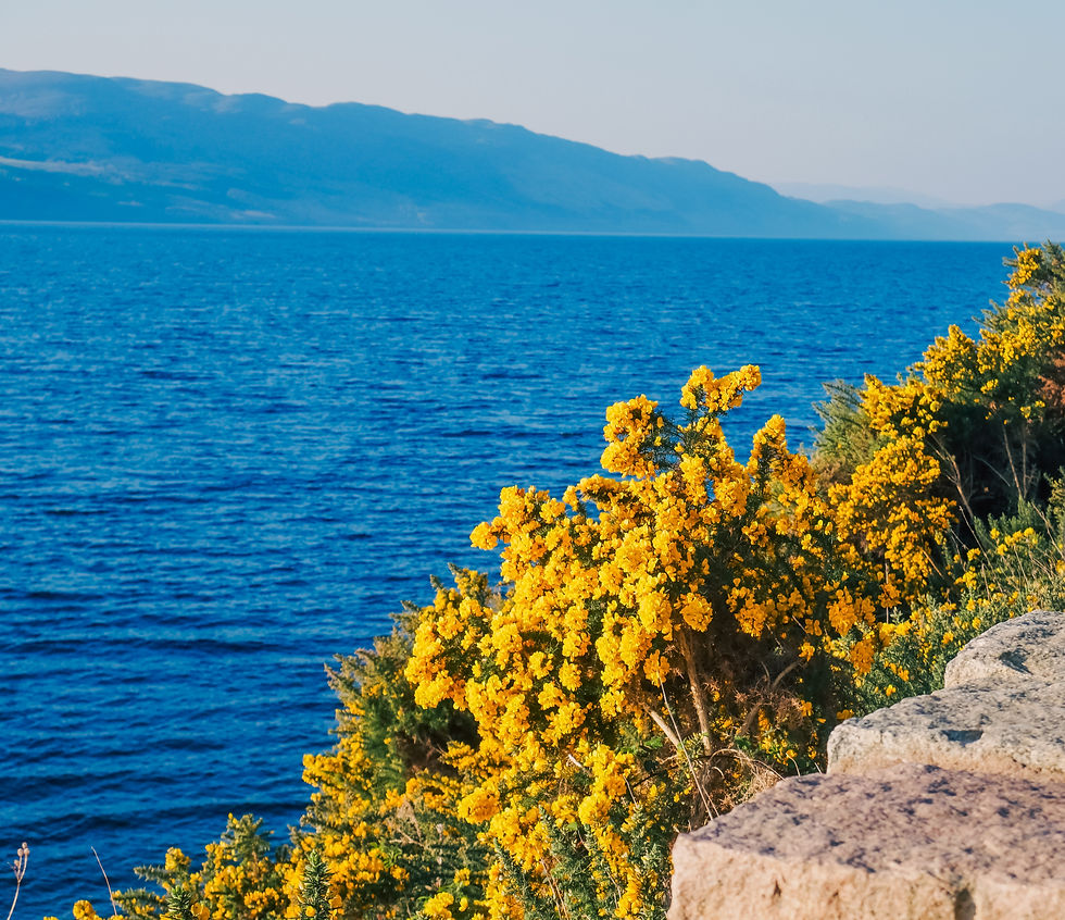 Loch Ness all bright and beautiful- not quite how I pictured it in my head