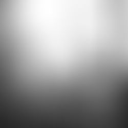 Fleurs en noir et blanc dans un jardin, baignant dans un fort contre-jour lumineux et flou, ambiance paisible pour illustrer La différence invisible de Julie Dachez