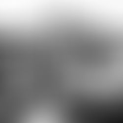 Photographie vintage de femmes dans une bibliothèque ancienne, illustration pour le roman Les armoires vides d'Annie Ernaux.