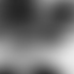 Street art sur un mur représentant une femme dont la tête est remplacée par des plantes.