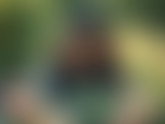 Personal Growth, happiness