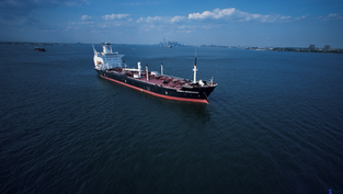 meet reality at sea