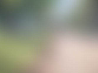 CONAVI destina inversión para mejoras en ruta entre Barrio San Martín y Puerto Humo, Costa Rica