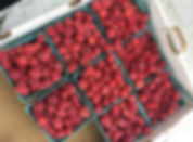 Raspberries available for pick yourown at Mathias Farms in Niagara