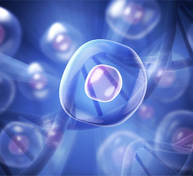 Cells under microscope