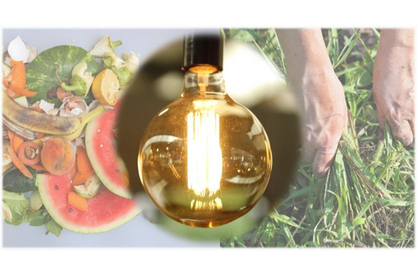 環境微生物研究所