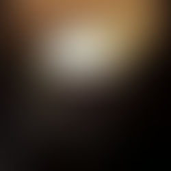 ✨ Im Schwan wird’s offiziell weihnachtlich!