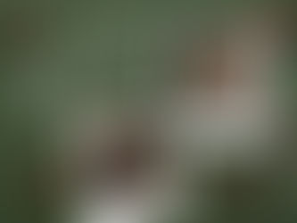 Adventskalender – Türchen 10 & 11 ✨