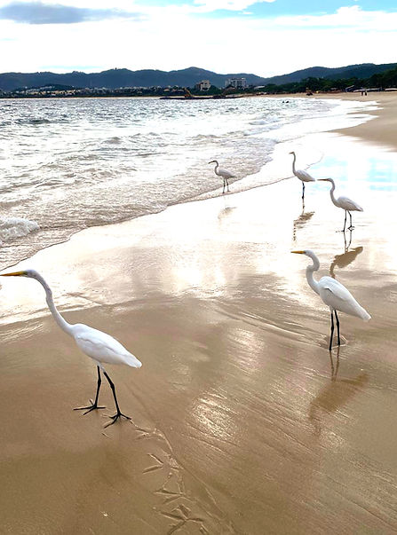 WhatsApp Image 2025-08-01 at 06.26_edite