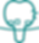 detartrage-supragingival.png