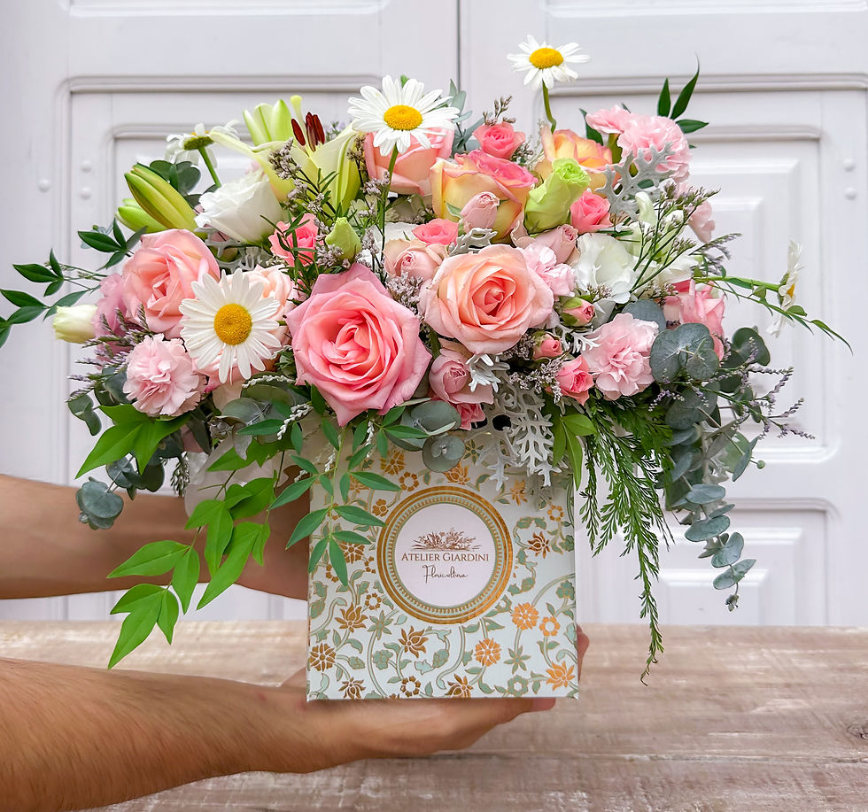 Miniatura: Giardini Box