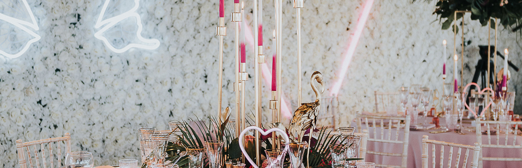 Ryan Side Bottom, former cricketer and Maddie elopement at Charlton Hall.