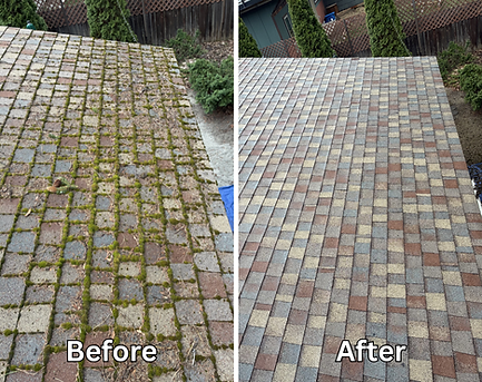 Moss Before_After 2.png
