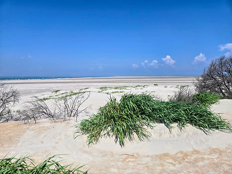 Coastal Cleaning - Short term rental and residential cleaning for your livingroom, bathroom, kitchen, and more!