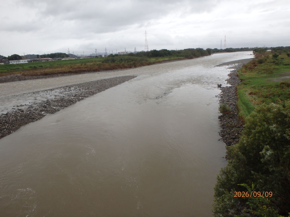河川の状況