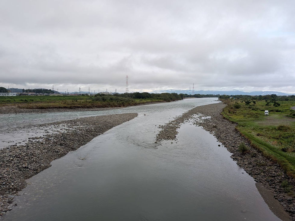河川の状況