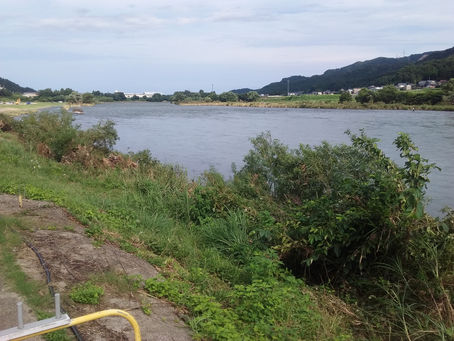 河川の状況