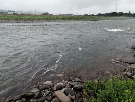 河川の状況