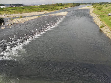 河川の状況