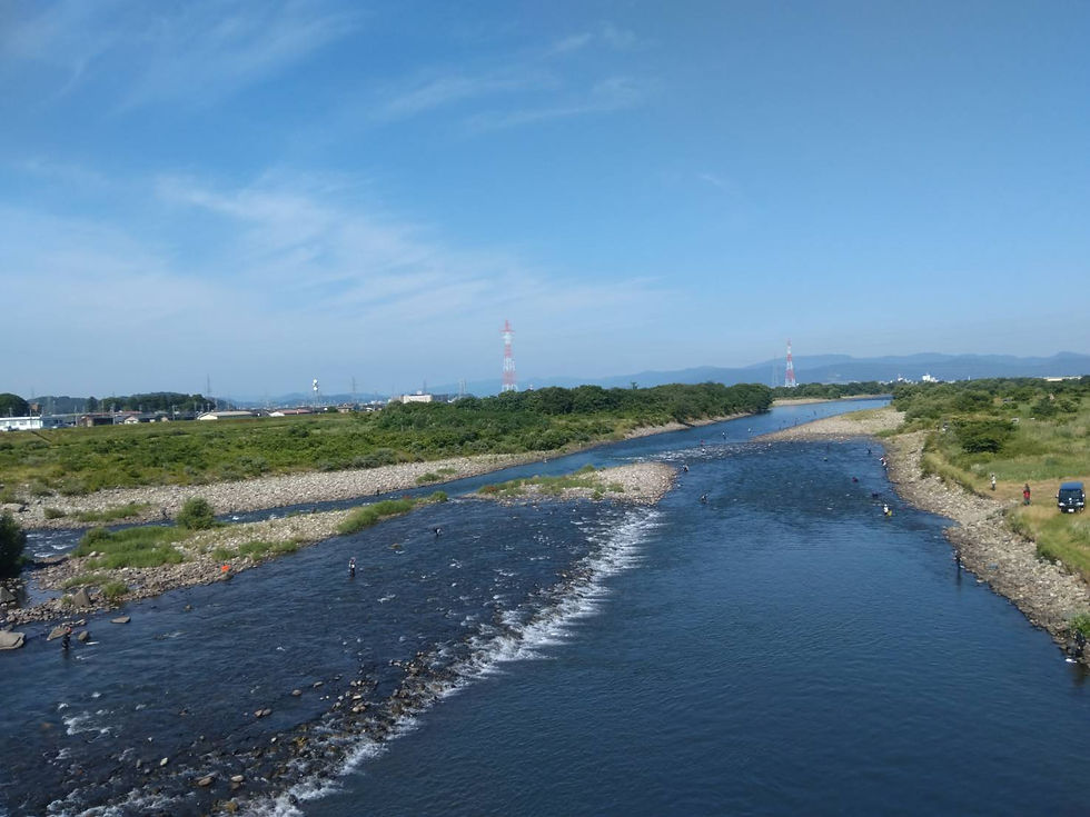 河川の状況