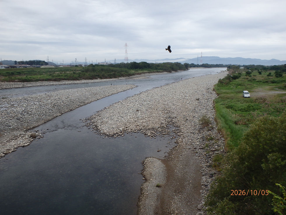 河川の状況